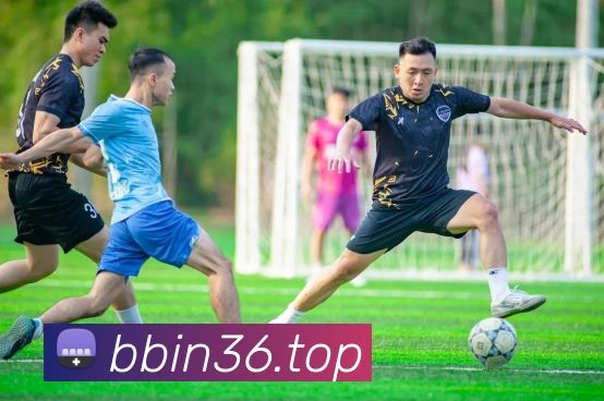 bbin宝盈平台生态图