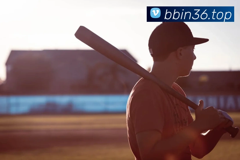 bbin宝盈全站App